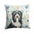 Black Bearded Collie