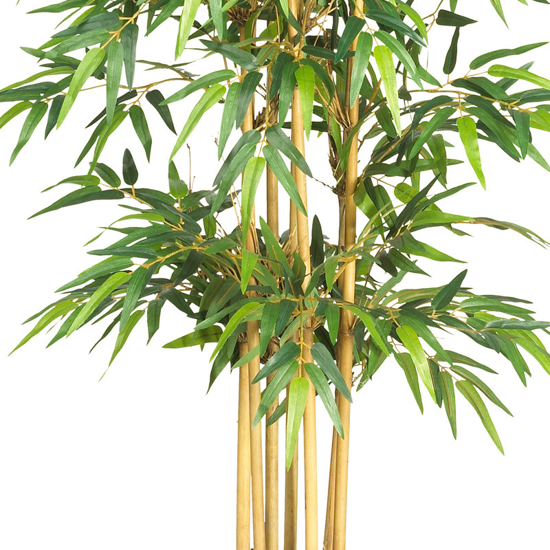 Bambou en soie, H 64 po x l 30 po x P 30 po