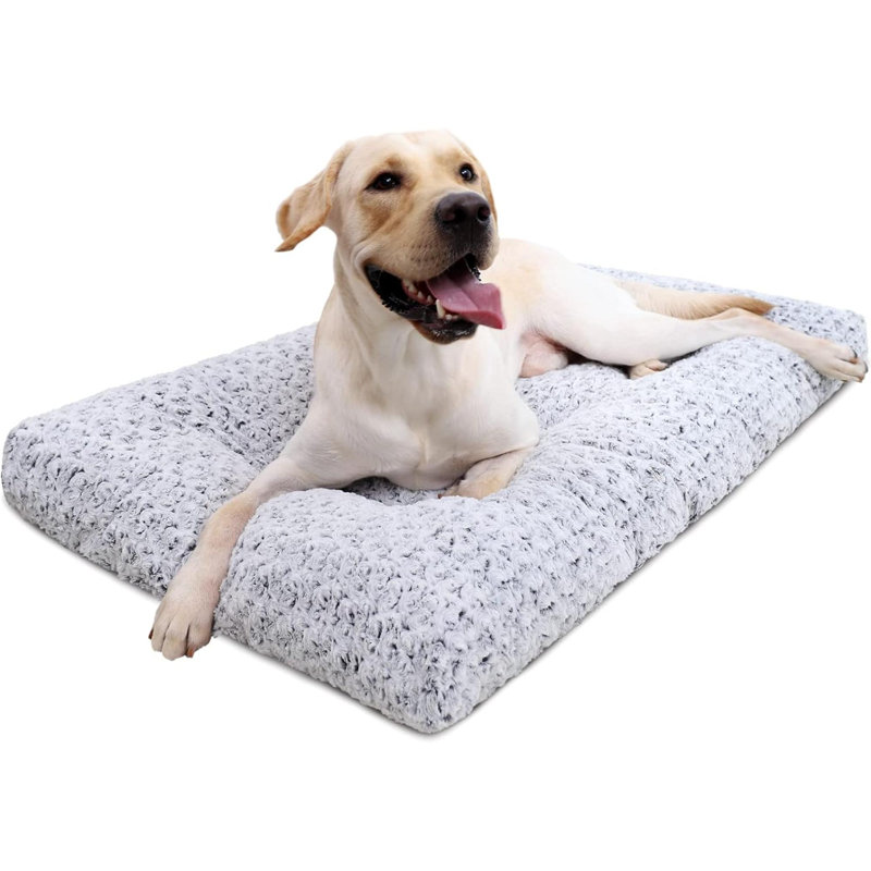 Lavable pour chien Lit de luxe pour chien en peluche Fulffy, Petit (l 21 po x P 13 po x H 2,5 po), Gris