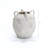 Vintage Mutli-Color Gray and White Terracotta 11-Inch Round Amphora Vase with Handles-317410981