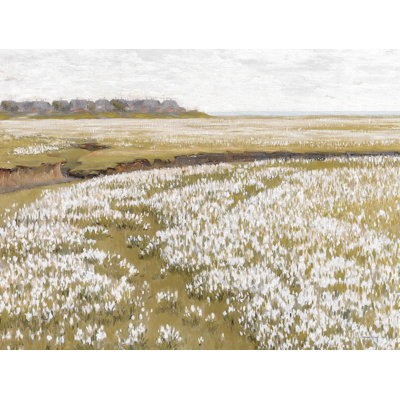 Spring Field