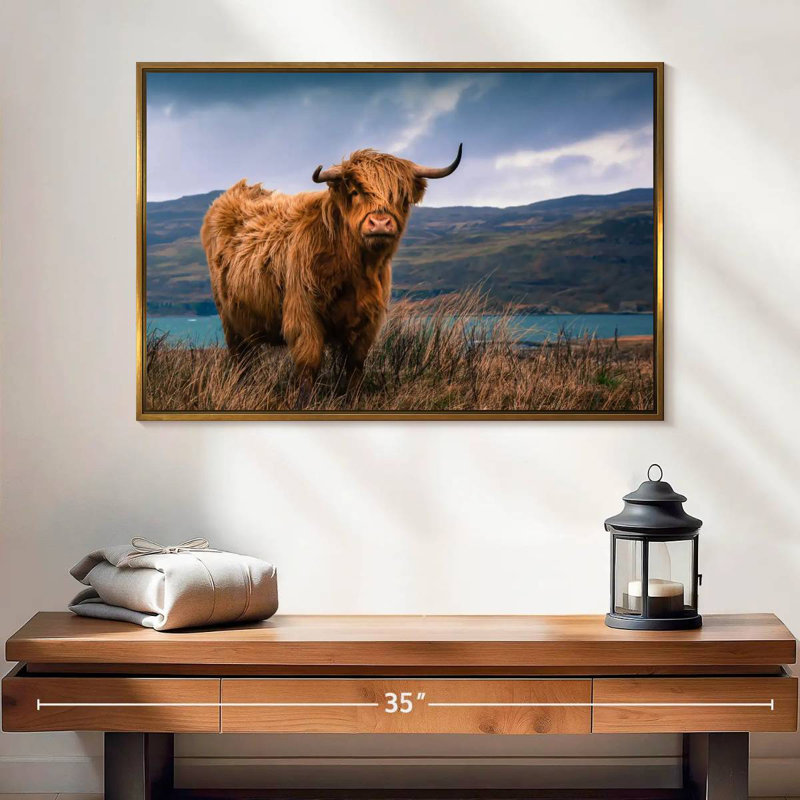 Grande vache Highland, Cadre flottant doré, 25 po x 17 po