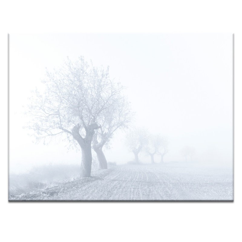 Print on Canvas, 41cm H x 51cm W, Unframed