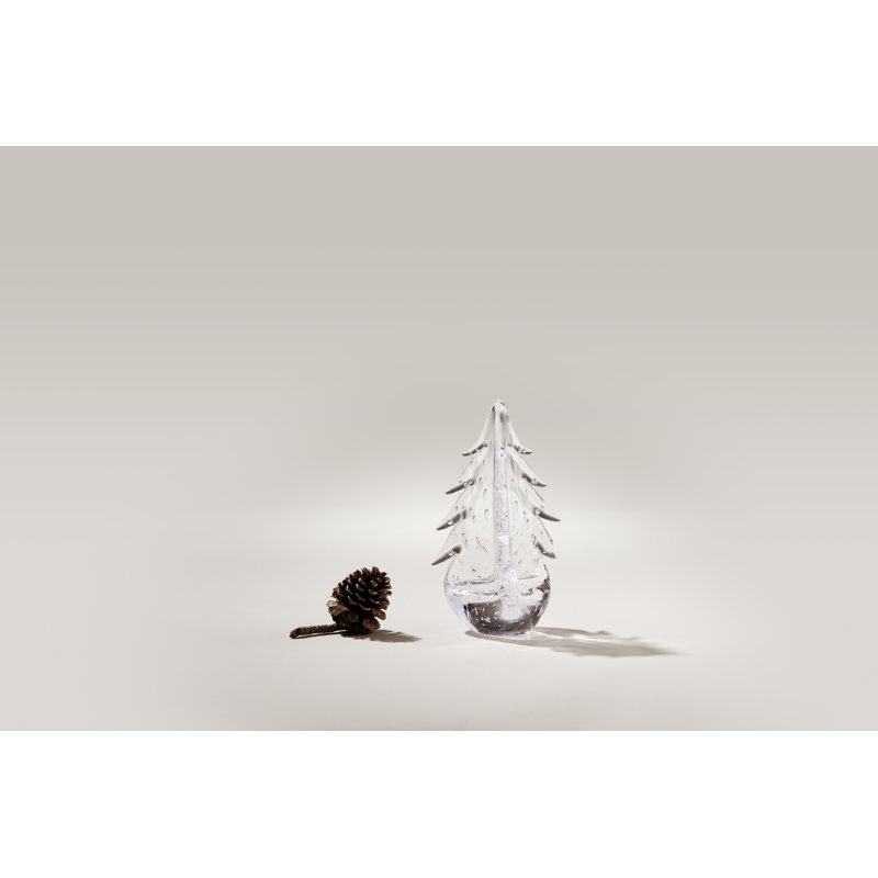 Bubble Evergreen, 8 inch