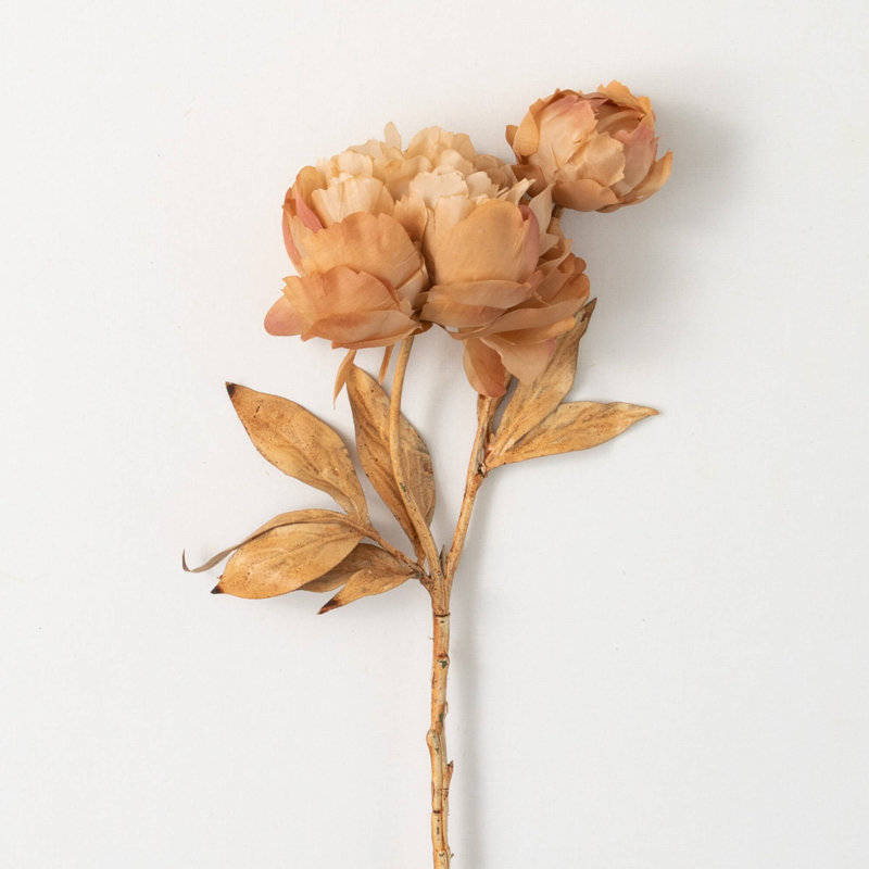 22" Cream Blooming Peony Stem