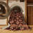 Machine Washable Persian Brown Area Rug-463214602
