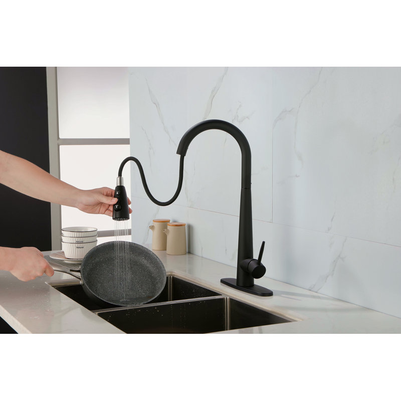 Single Handle Stainless Steel Kitchen Sink Faucet With Pull Down Sprayer, Matte Black