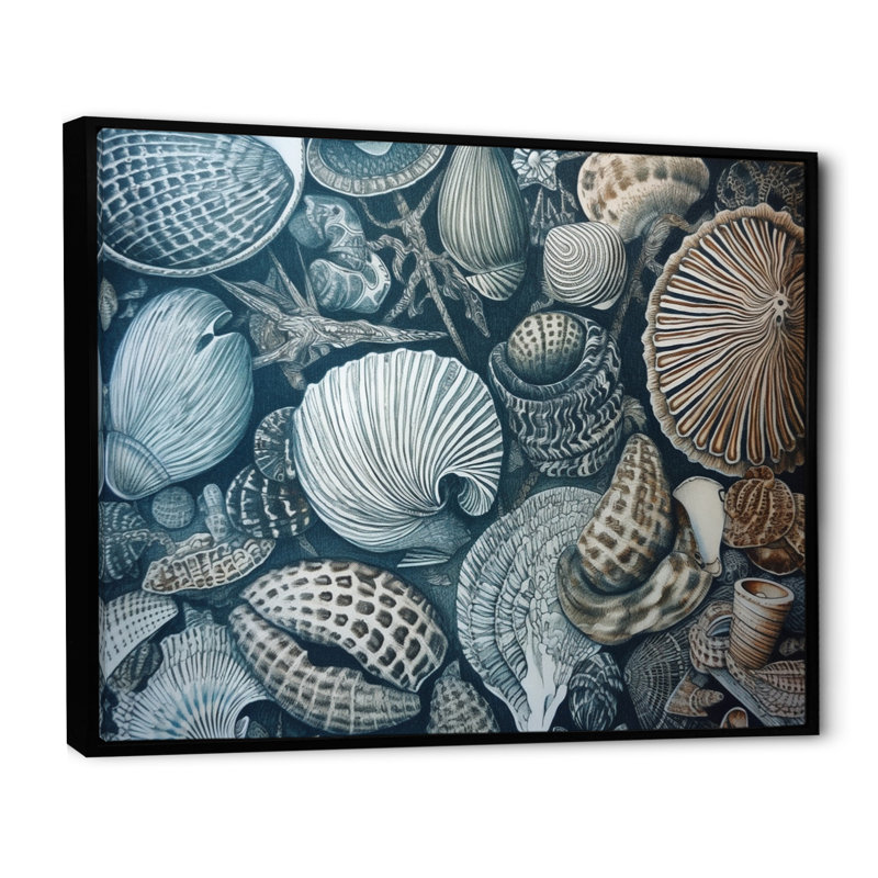 Seaside Seashells I, reproduction d'art sur toile, H 12 po x l 20 po x P 1 po, Cadre flottant noir