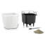Quadro Premium Pot Planter-16493022