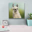 "Epos Graffiti" Whos Your Llama 1 C "par Julia Purinton, art mural sur toile-106173869