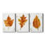 «Autumn Leaf Study I», ensemble de 3 toiles tendues-873596978