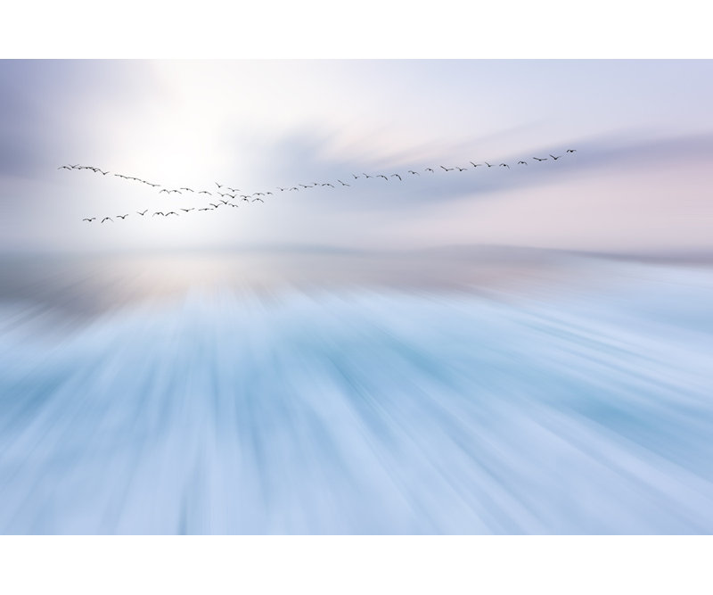 Wrapped Canvas Print, 81.28 cm H x 121.92 cm W