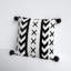 Tassels Indoor/Outdoor Throw Pillow