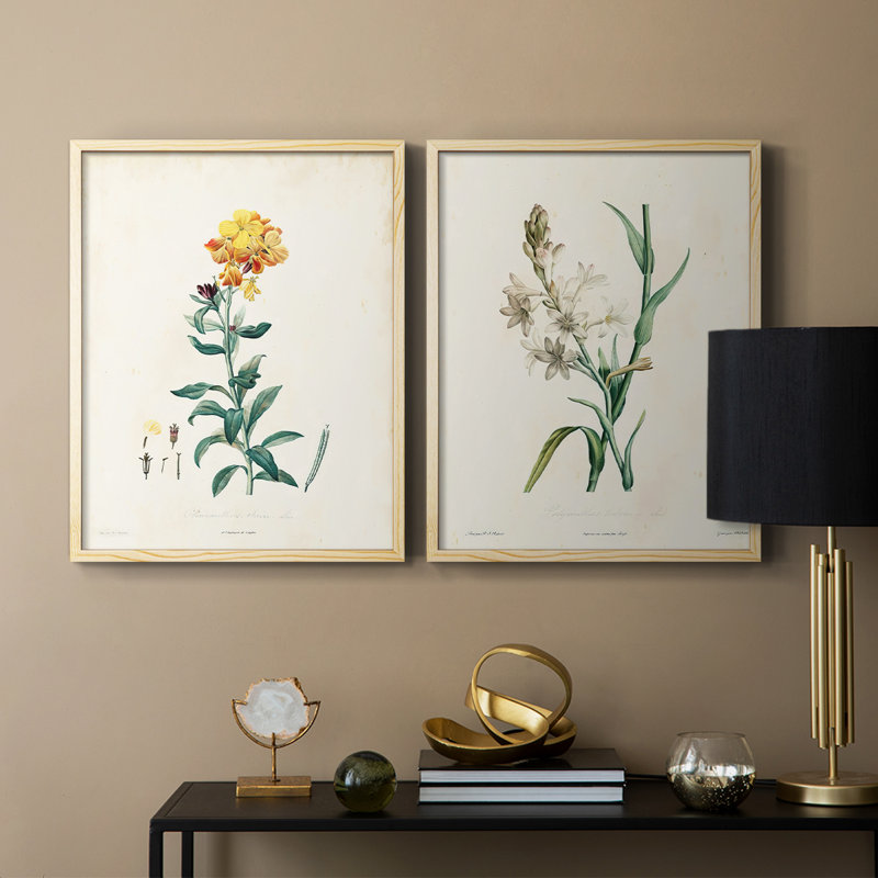 Traditional Botanical III - reproduction encadrée de qualité supérieure - prête à être accrochée - aucun clou requis - aucun clou requis