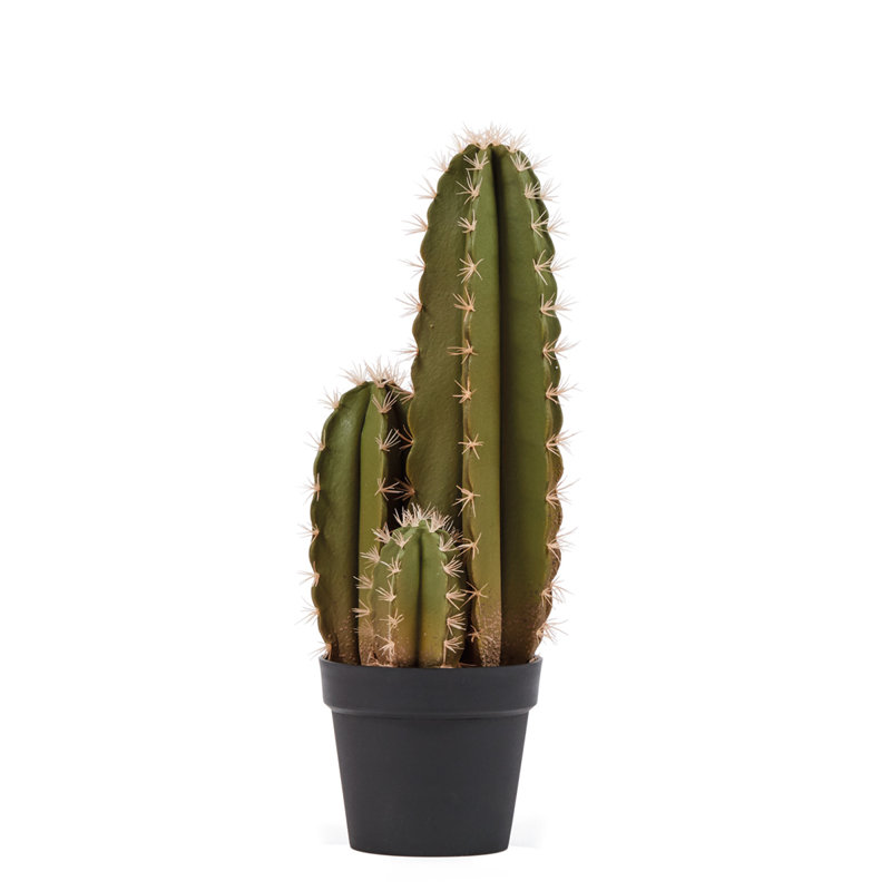 64cm Faux Cactus Plant in Pot