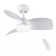 Jareem 28'' Ceiling Fan with LED Lights
