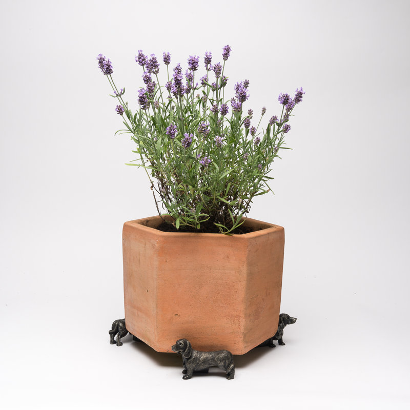 Demelza Weather Resistant Planter Feet