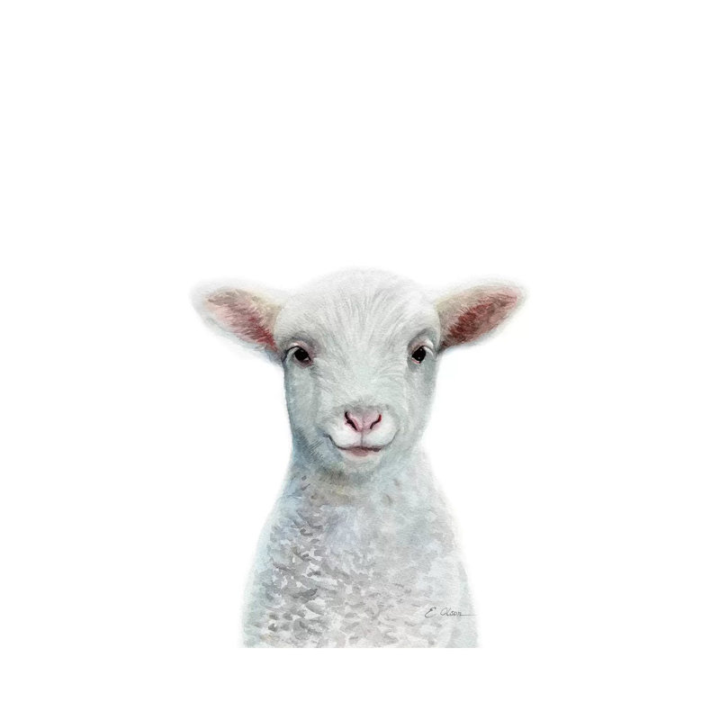 «Baby Sheep», reproduction d'art, Toile tendue, Pas de tapis, H 12 po x l 8 po x P 0,75 po