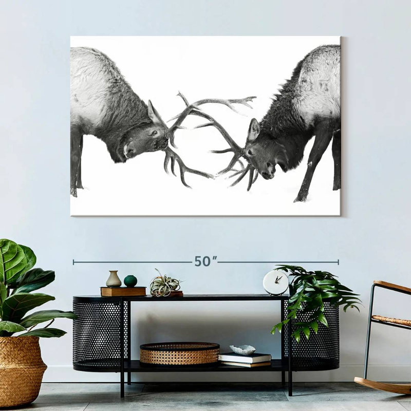 Brampt Fighting Elks, 34" H x 51" W