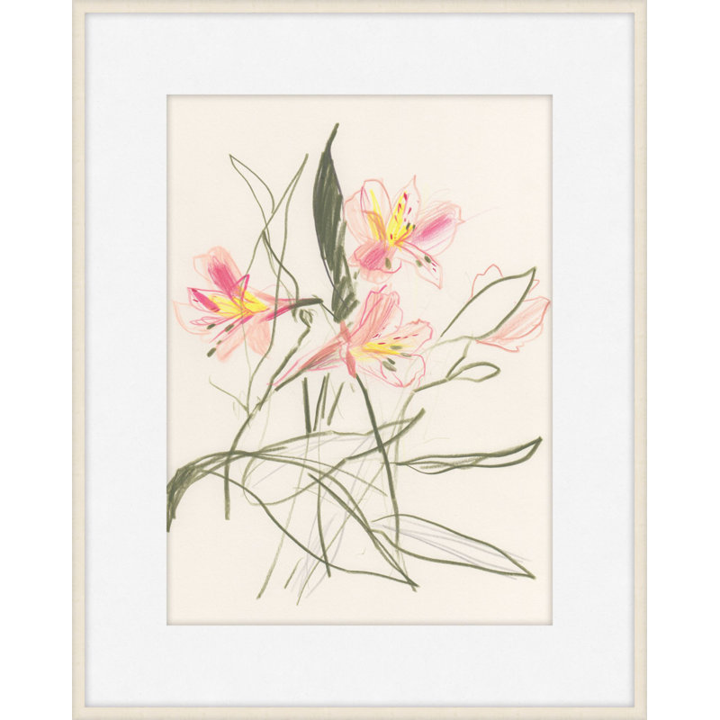 Alstroemeria 1 Print by Claudia Lowry, 33" H x 28" W