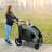 Dog Stroller For Medium And Large Dogs Folding Pet Cat Stroller