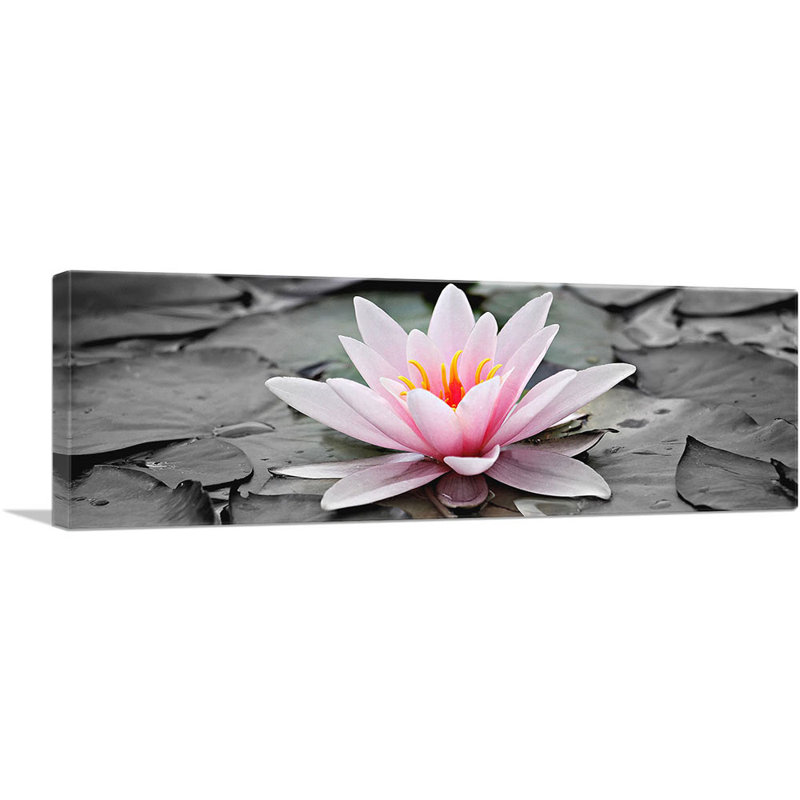 «Water Lilly Lotus Home Decor», reproduction de photo sur toile tendue, H 12 po x l 36 po x 1,5 po