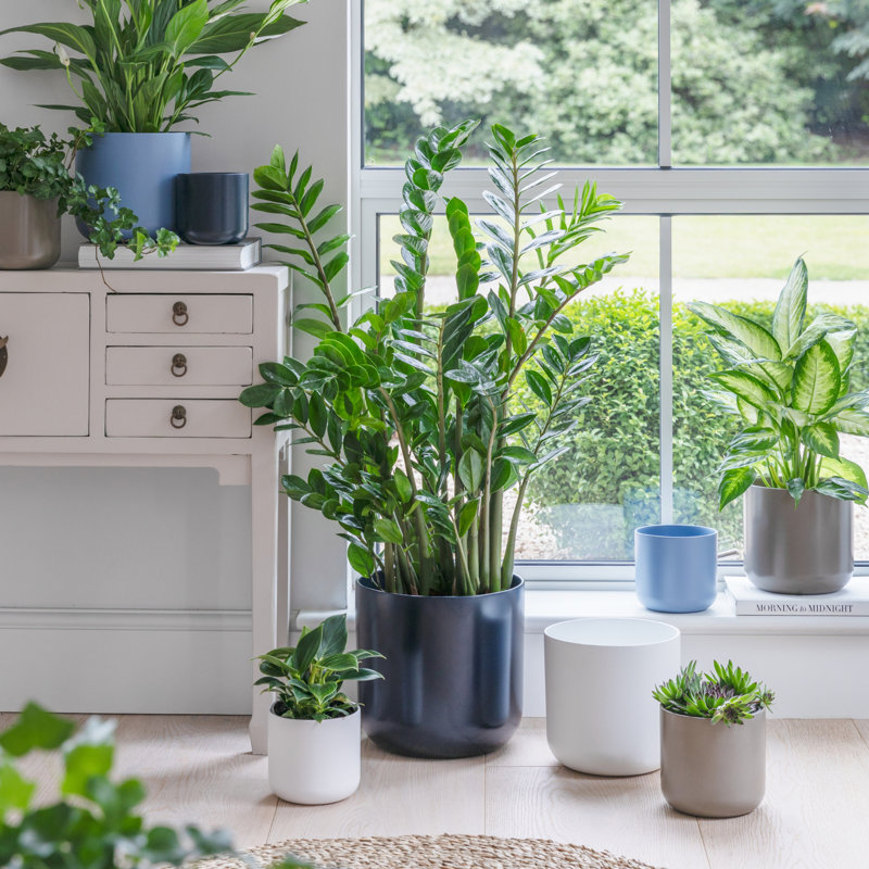 Ceramic Pot Planter, Navy