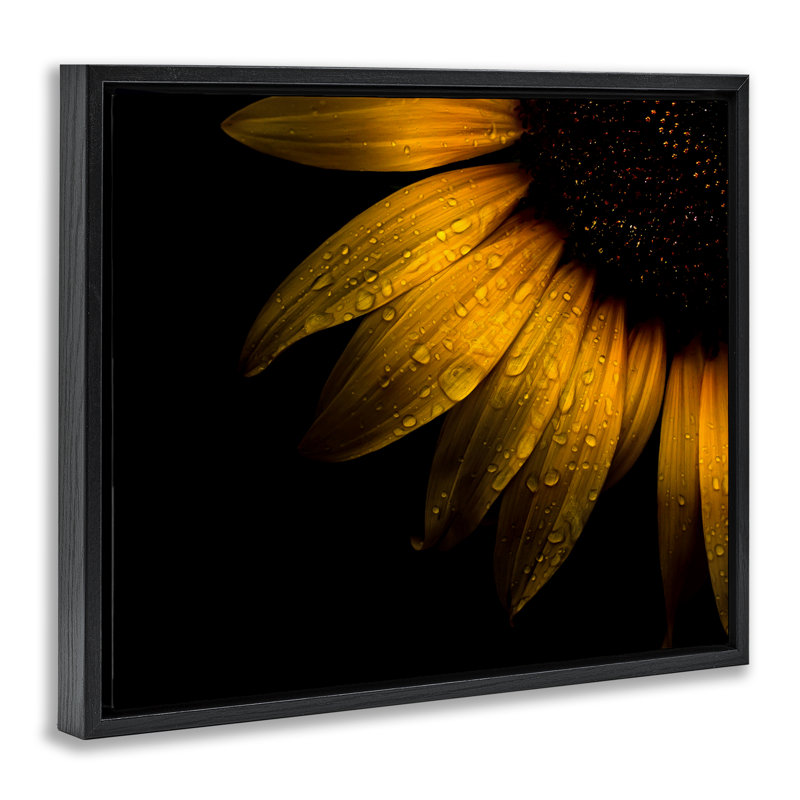 Gouttelettes d'eau sur un cadre flottant tournesol, design par Brian Carson, Cadre flottant noir de jais, H 17 po x l 21 po