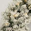 Arbre de Noël 4 pi Jaibir