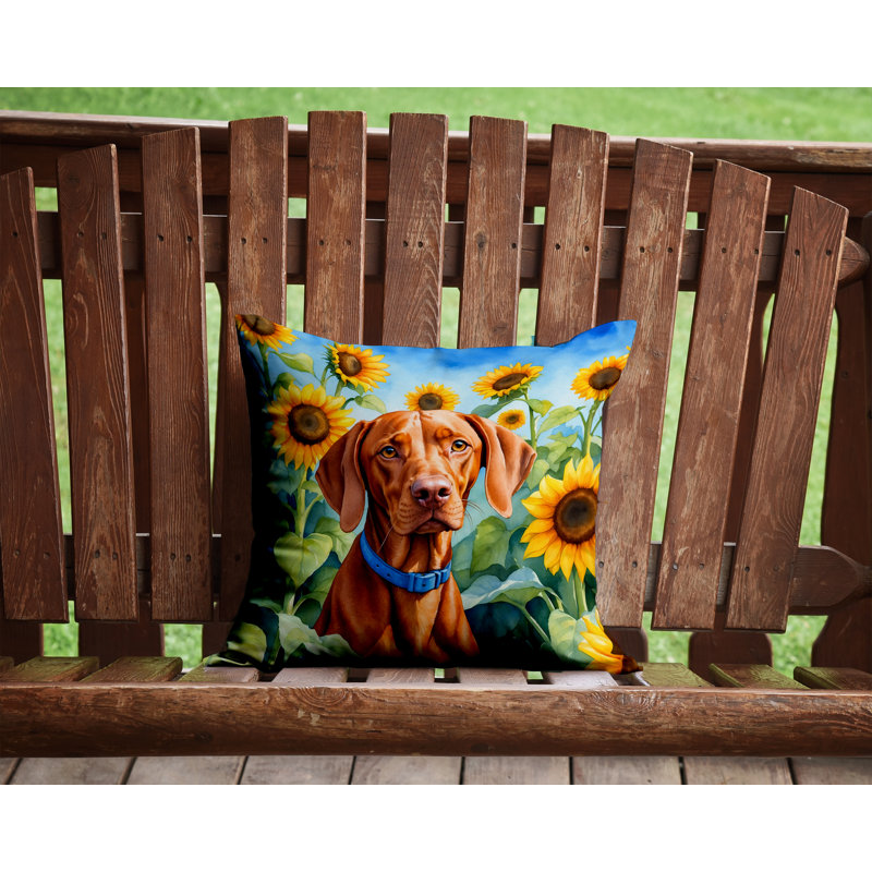 Coussin décoratif intérieur / extérieur Autre / Sans motif, H 14 po x l 14 po