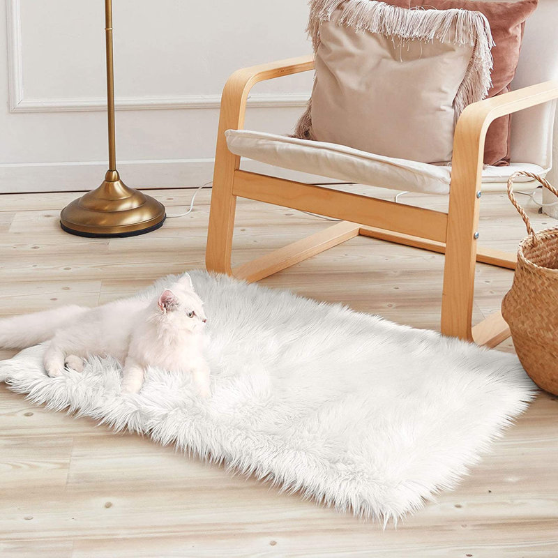 Ismene Solid Colour Shag Area Rug, Rectangle 60 x 90 cm, White 