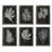 Monochromatic Floral Framed Graphic Art with Mounting Hardware