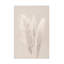 Art sur toile «Bachelor Studio Pampas»-93220734