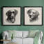 «Charcoal Labrador I», ensemble de 2 reproductions d'art sur toile-121262938-121262941