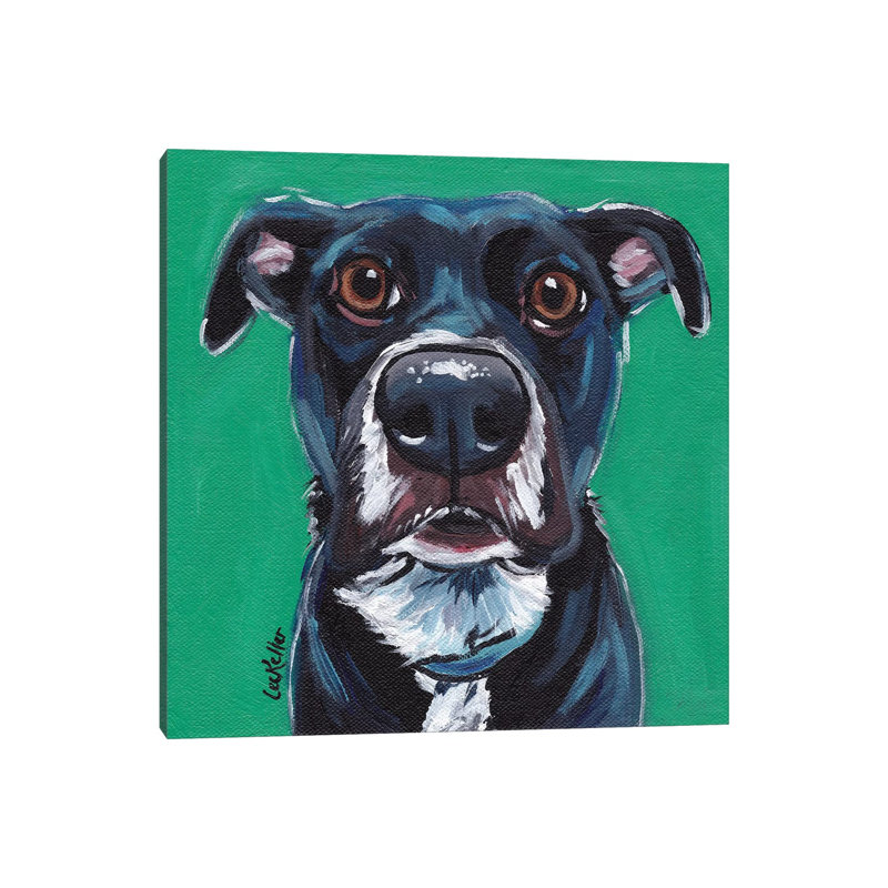 Expressive Dog On Emerald - Wrapped Canvas Print, 30.48 cm H x 30.48 cm W