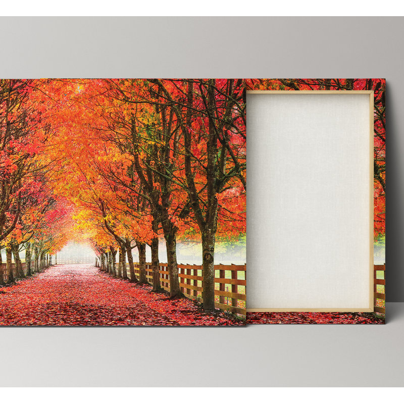 « North Bend Trees » - Reproduction de photo sur toile tendue, H 24 po x l 36 po x 1,5 po