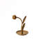 Craning Tulip