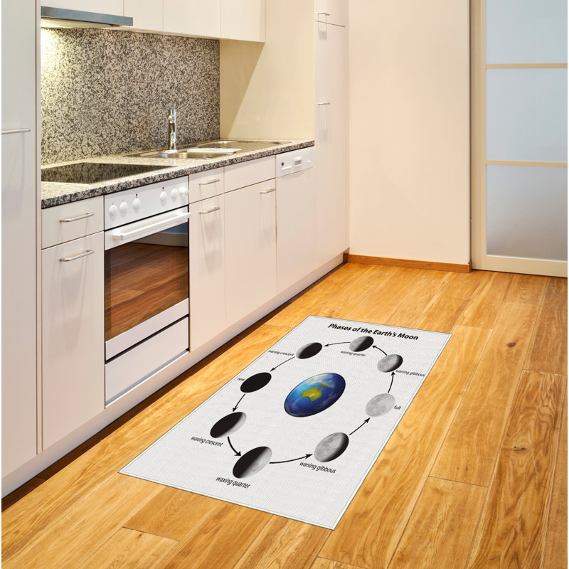 Educational Science High Density Long Fiber Poly Threads Decorative Area Rug Carpet, Rectangle 2'7" x 5'