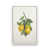 Opaque White Floater Frame n'est pas disponible
