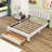Deyonta Queen Size Upholstered Platform Bed with A Big Drawer-384728761