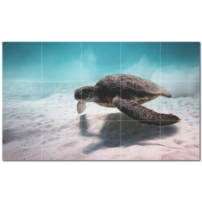 Tortue photo 12 x 12