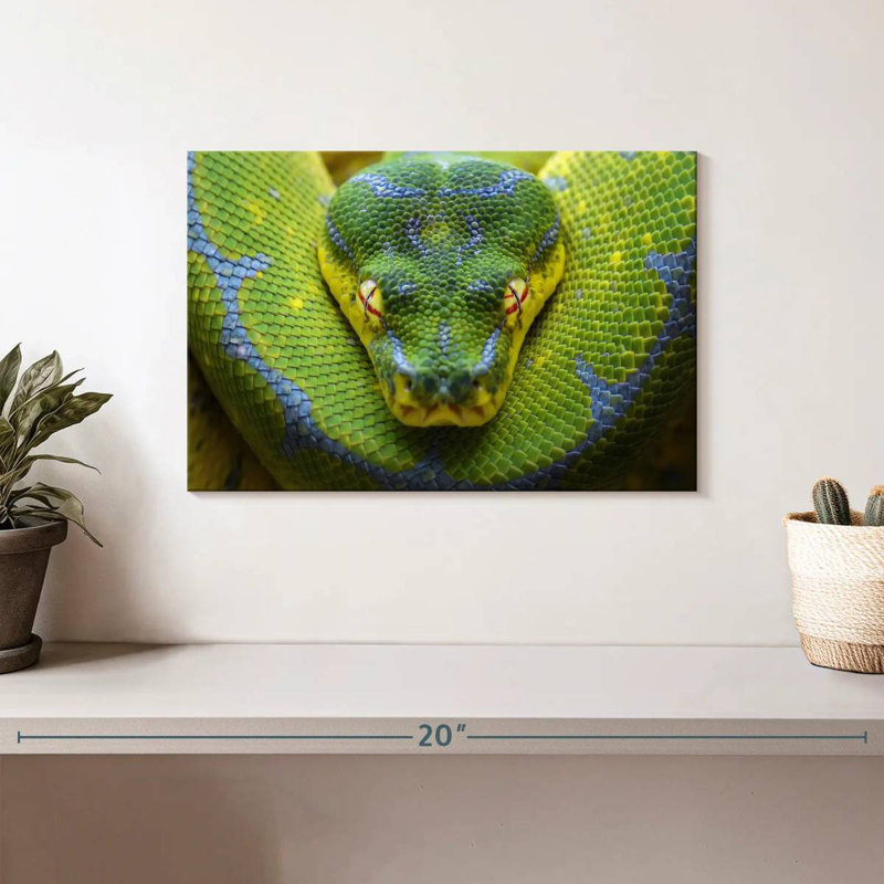 Python vert ardent Brampt, H 8 po x l 12 po