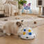 3-in-1 Rechargeable Interactive Cat Toy for Indoor Play
