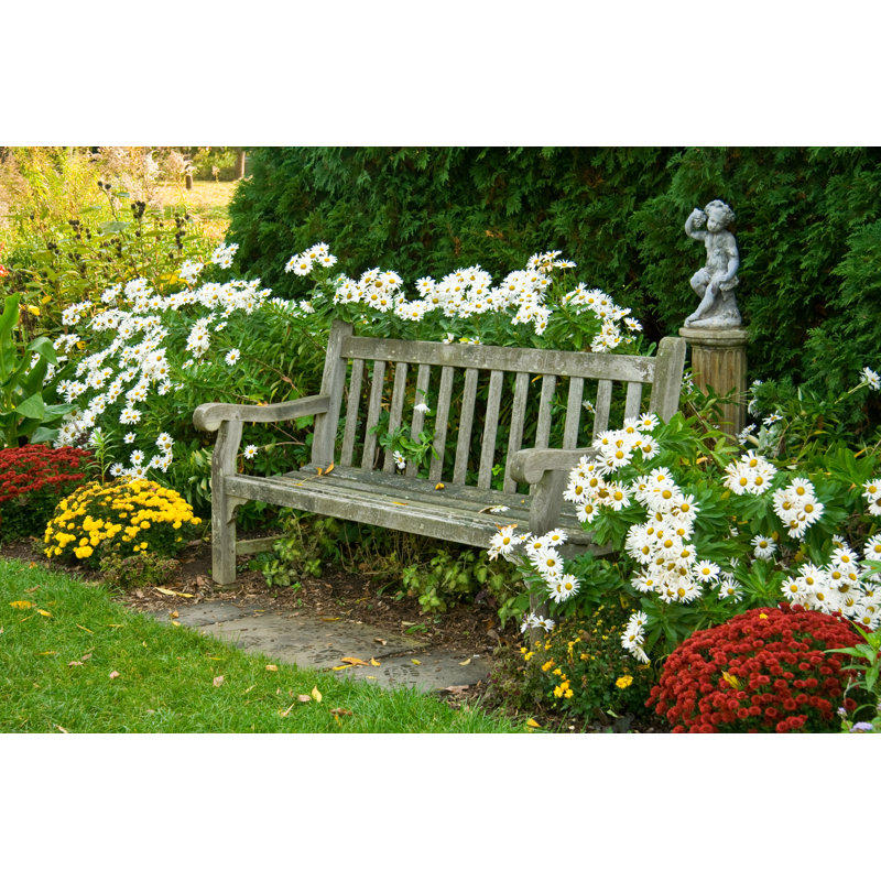 Park Bench In Arboretum by Lawsonpix - Wrapped Canvas Print, 61cm H x 91cm W
