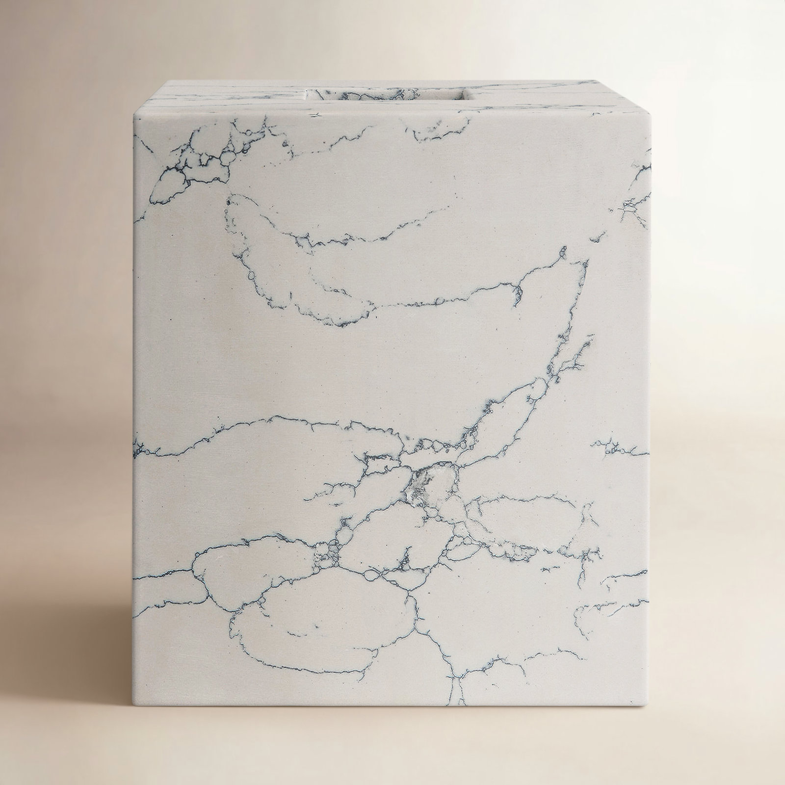 Paca Tissue Box Cover