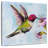 Brampt Hummingbird I-109358465