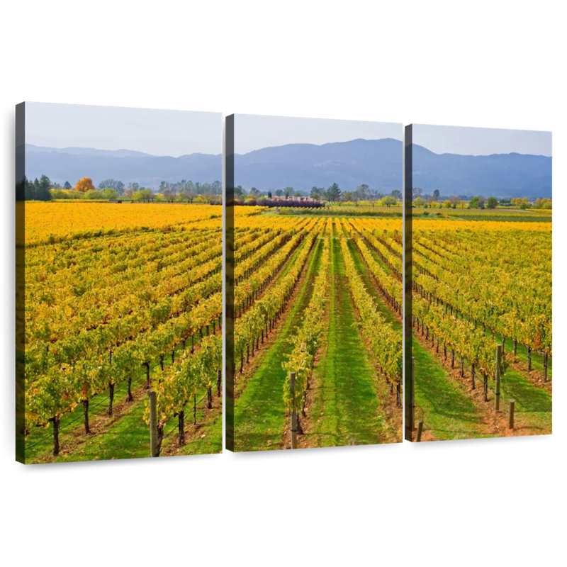 Alvord Vast Napa Valley Winery, 20" H x 33" W