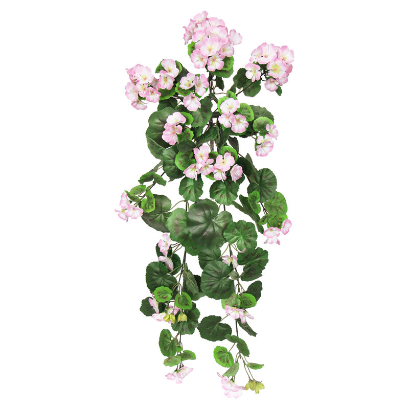Buisson de géranium suspendu, Rose clair / vert