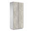 Sawaira 2 -Door 3 -Shelf Storage Cabinet