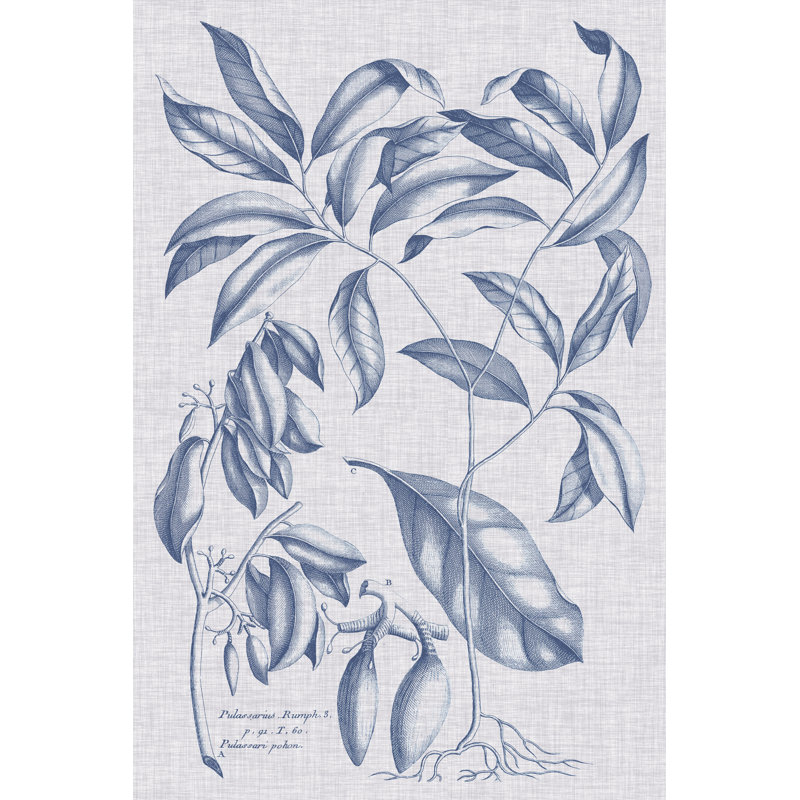 Navy & Linen Botanical I by Vision Studio - No Frame Print on Canvas, 46cm H x 30cm W x 3.8cm D